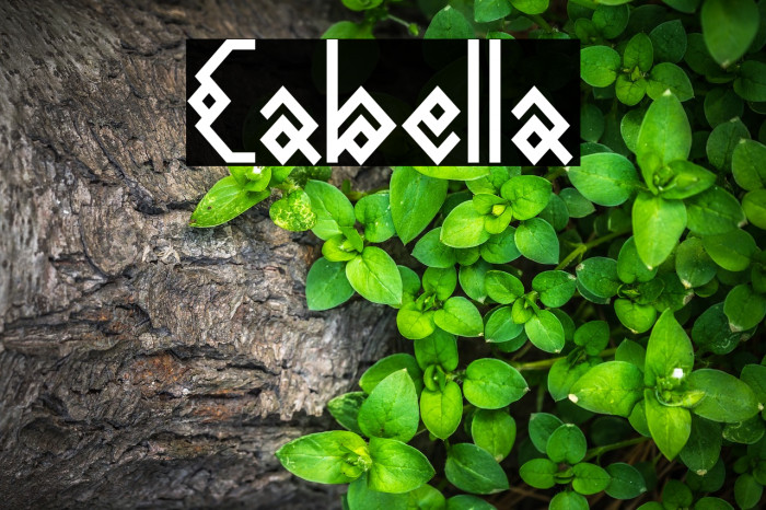 Cabella Font examples