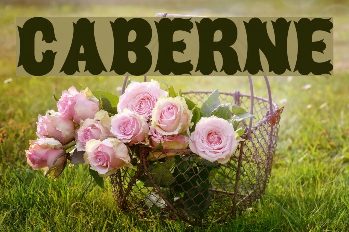 Caberne Font examples