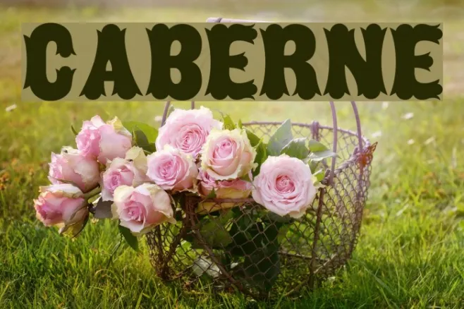 Caberne Example 1