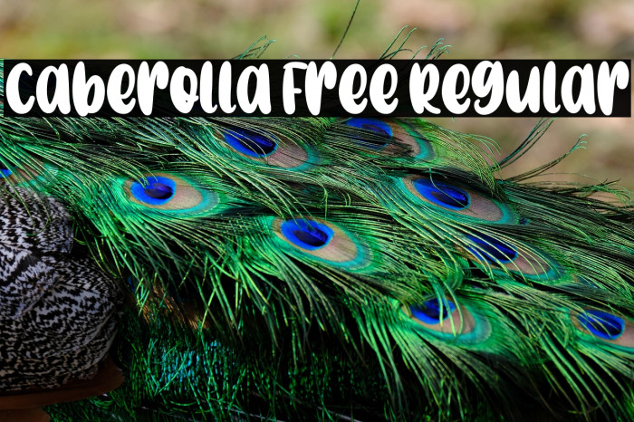 Caberolla Free Regular Example 2