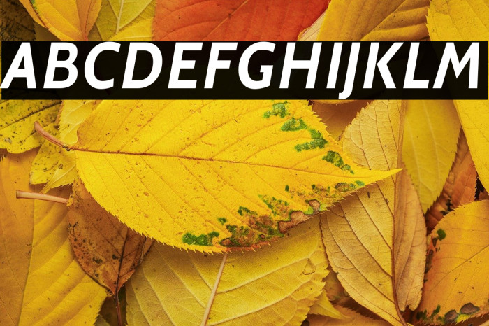 Cabin Bold Italic Example 3