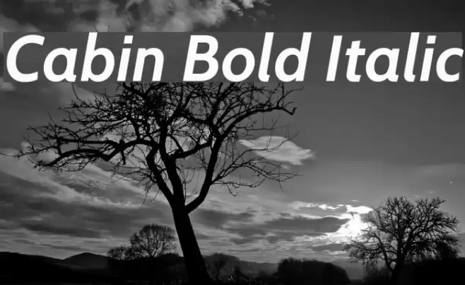 Cabin Bold Italic フォント examples