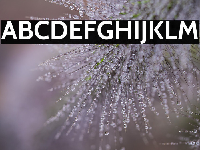 Cabin Bold Example 1