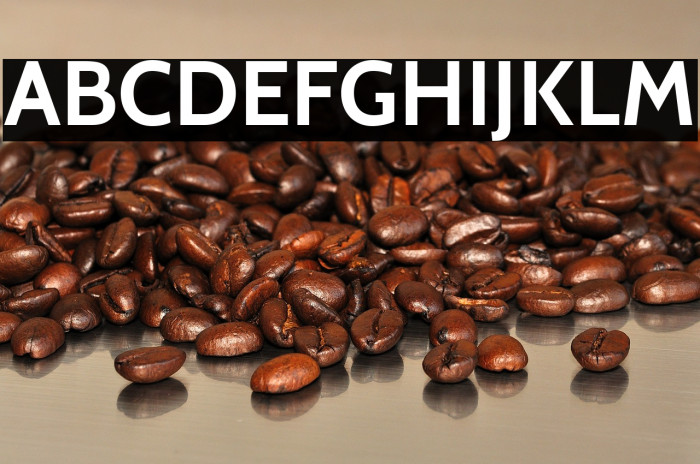 Cabin Bold Example 3