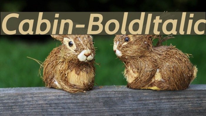 Cabin-BoldItalic Font examples