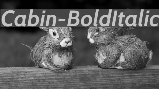 Cabin-BoldItalic  examples