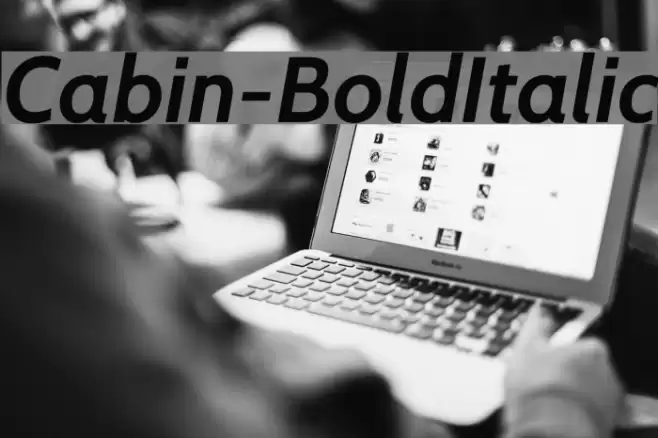 Cabin-BoldItalic  examples