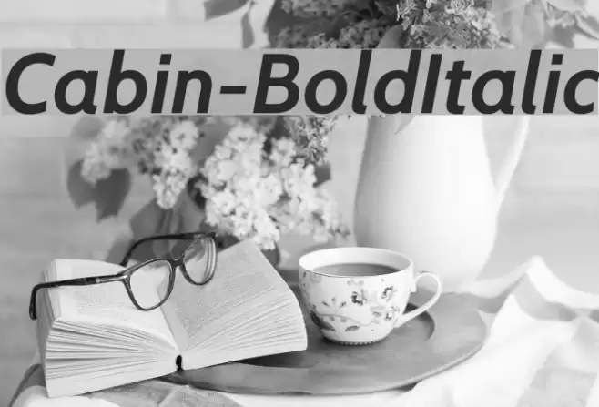 Cabin-BoldItalic  examples