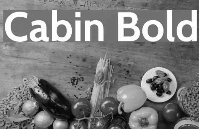 Cabin Bold Font examples