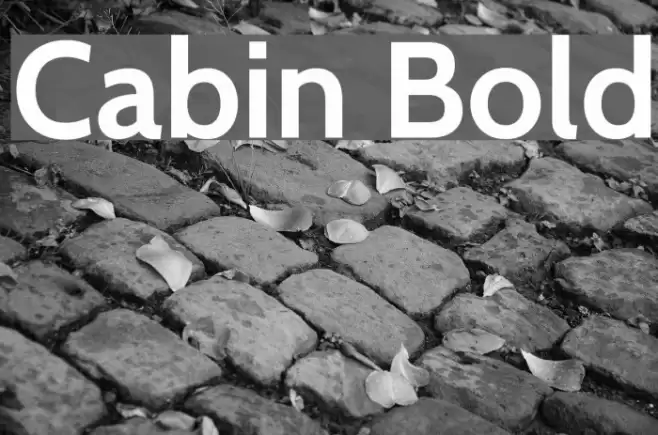 Cabin Bold Font examples