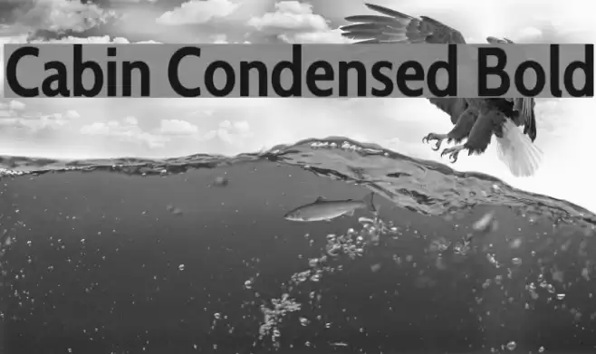 Cabin Condensed Bold Font examples