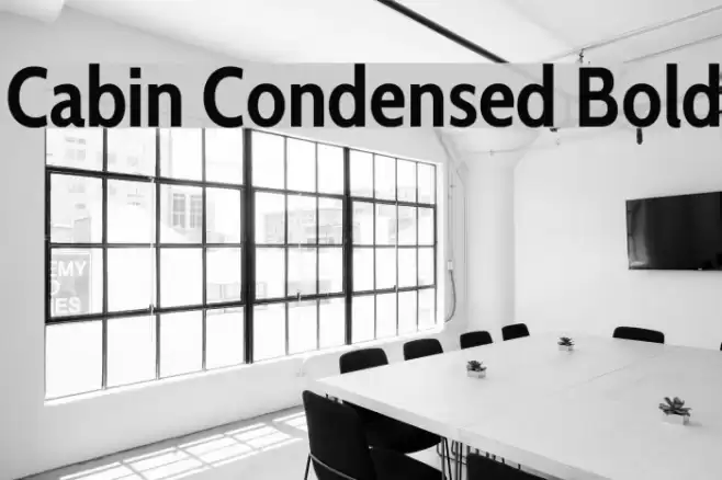 Cabin Condensed Bold Font examples