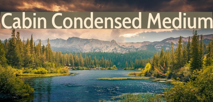 Cabin Condensed Medium Font examples