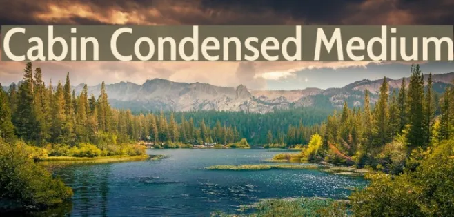 Cabin Condensed Medium Example 1