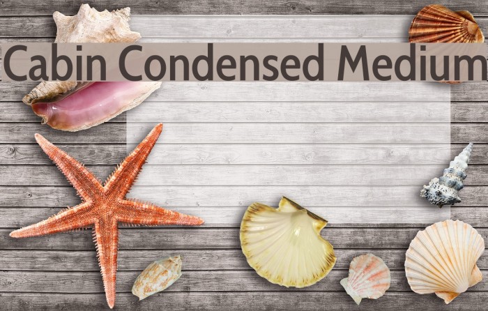 Cabin Condensed Medium Font examples