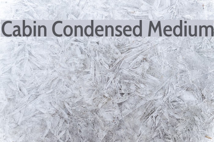 Cabin Condensed Medium Font examples