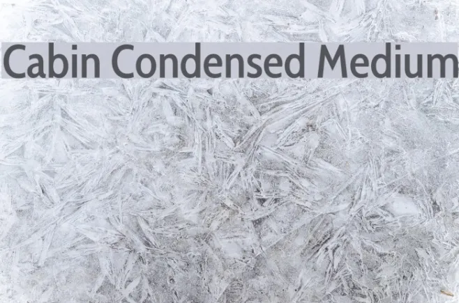 Cabin Condensed Medium Example 3