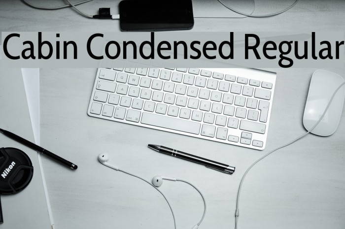 Cabin Condensed Regular Font examples
