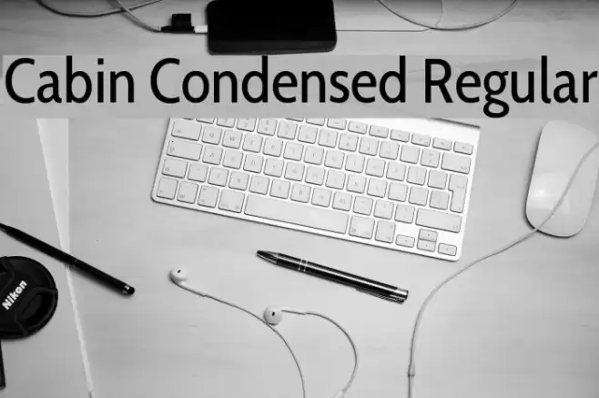 Cabin Condensed Regular Font examples
