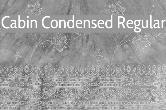 Cabin Condensed Regular Font examples