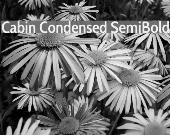 Cabin Condensed SemiBold Font examples