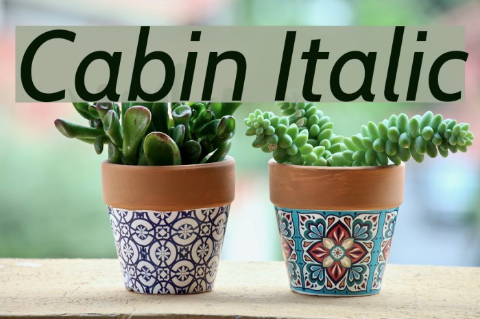 Cabin Italic Font examples