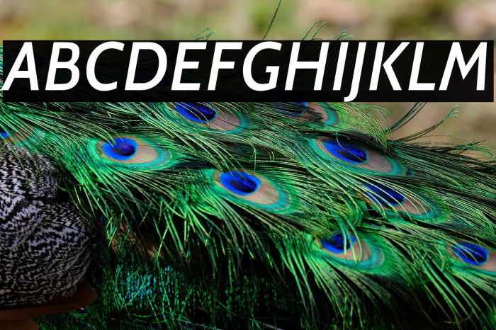 Cabin Medium Italic Example 1