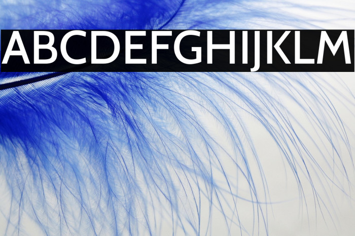 Cabin Medium Example 3