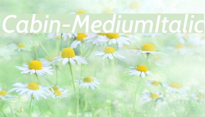 Cabin-MediumItalic Font examples
