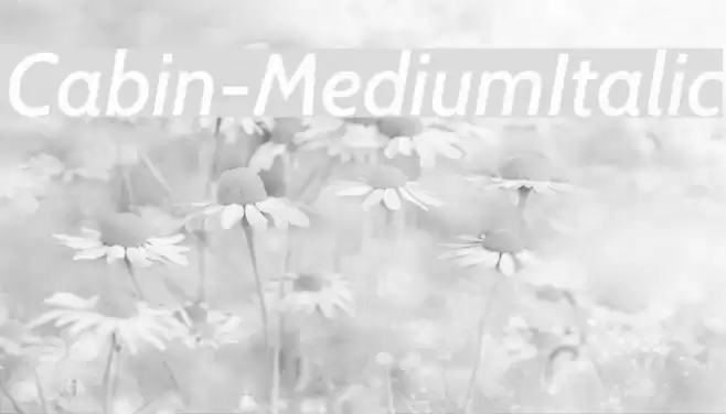 Cabin-MediumItalic Font examples