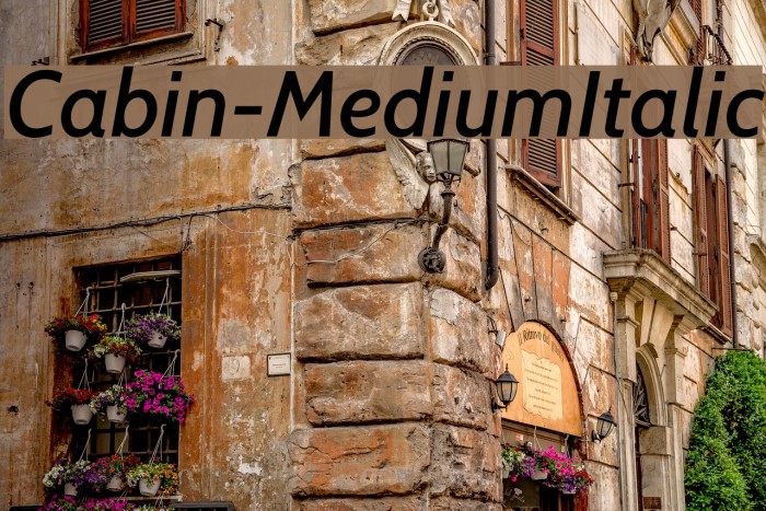 Cabin-MediumItalic Font examples