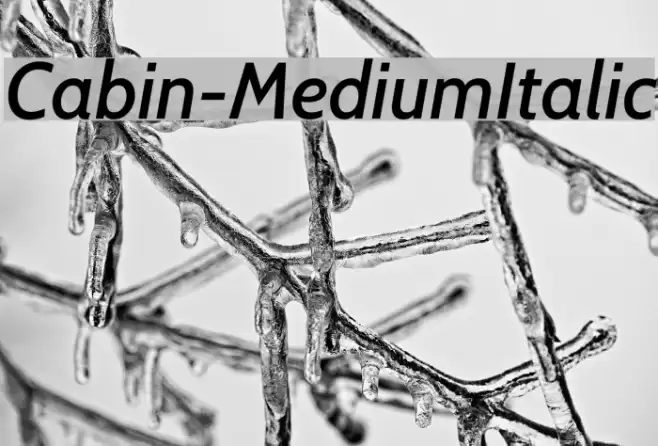 Cabin-MediumItalic Font examples
