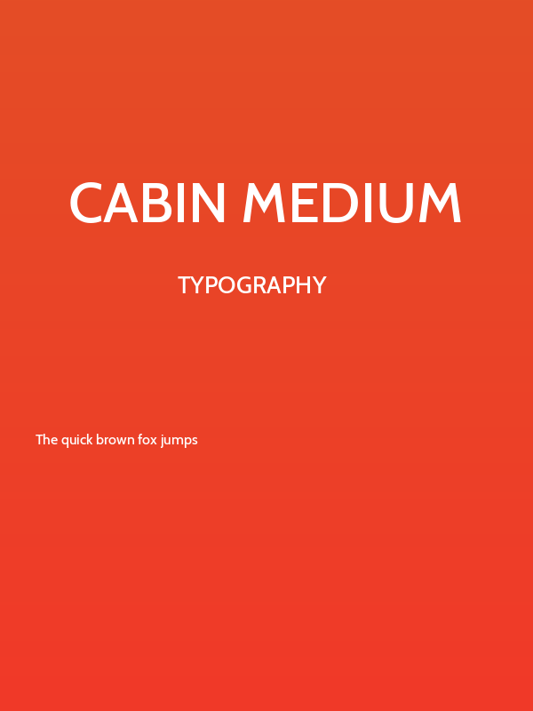 Cabin Medium Poster