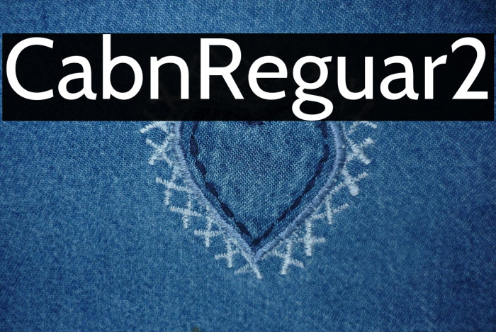 Cabin-Regular2 Example 1