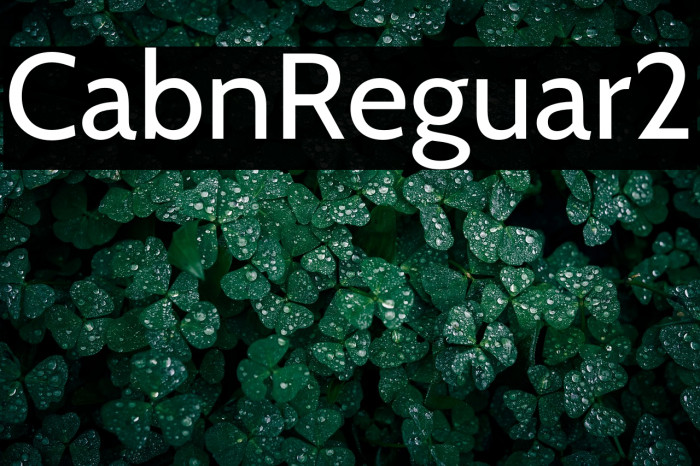 Cabin-Regular2 Example 2