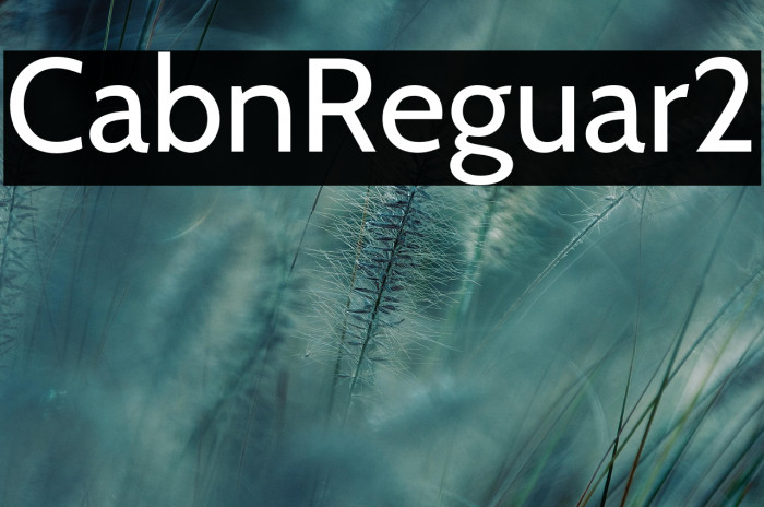 Cabin-Regular2 Example 3