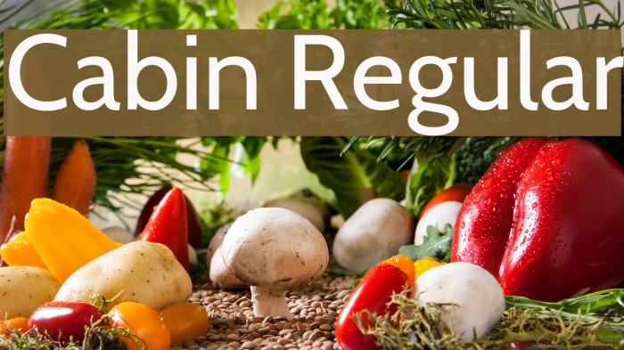 Cabin Regular Font examples