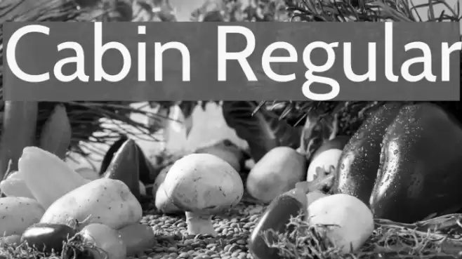 Cabin Regular Font examples