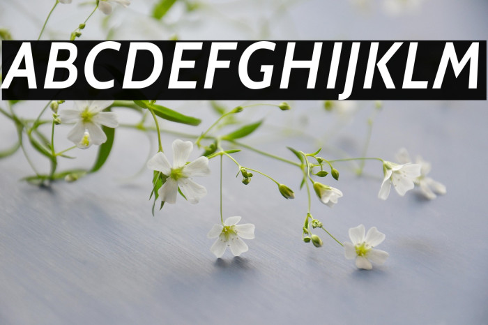 Cabin SemiBold Italic Example 3