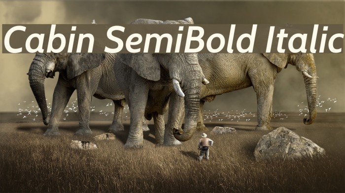 Cabin SemiBold Italic Font examples