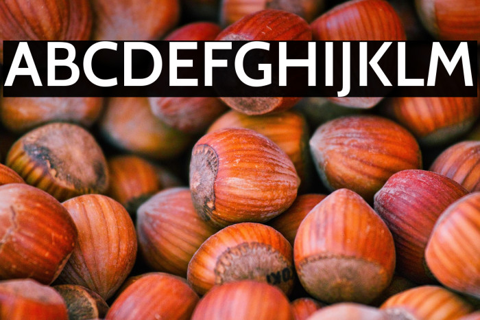 Cabin SemiBold Example 3