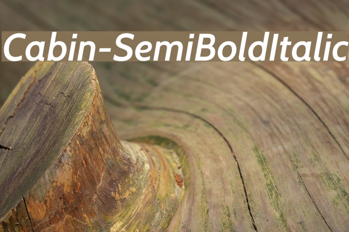 Cabin-SemiBoldItalic Font examples