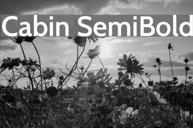 Cabin SemiBold Font examples