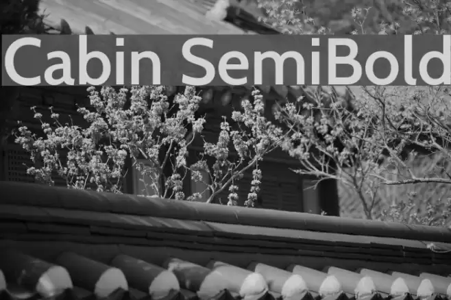 Cabin SemiBold Font examples