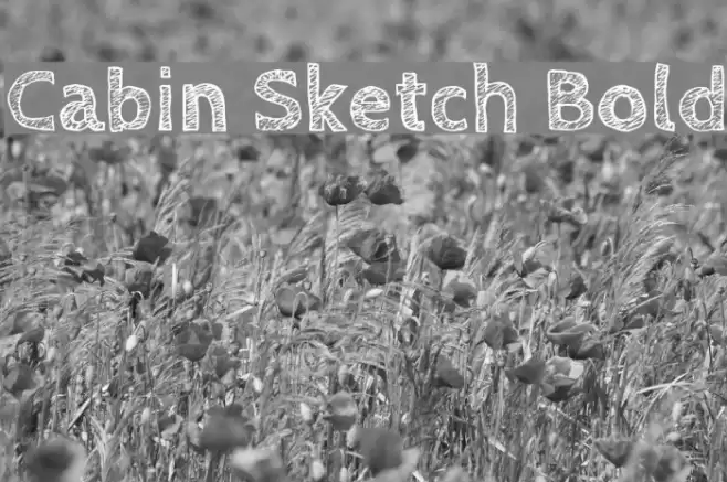 Cabin Sketch Bold Font examples