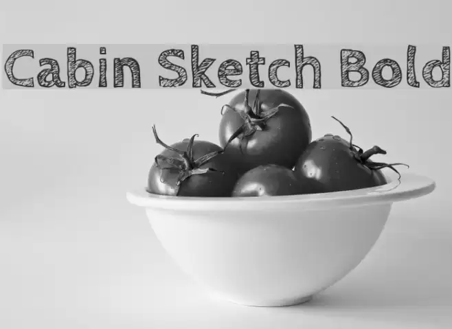 Cabin Sketch Bold Font examples