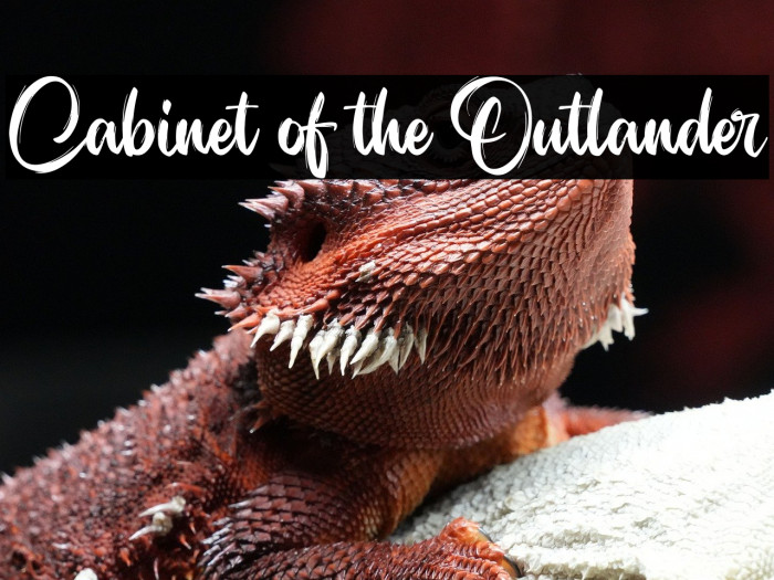 Cabinet of the Outlander Example 2