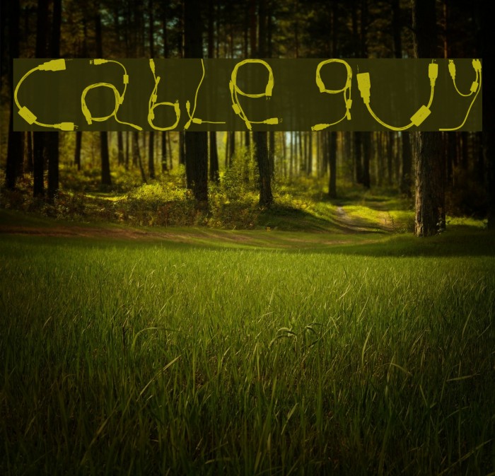 Cable Guy Font examples
