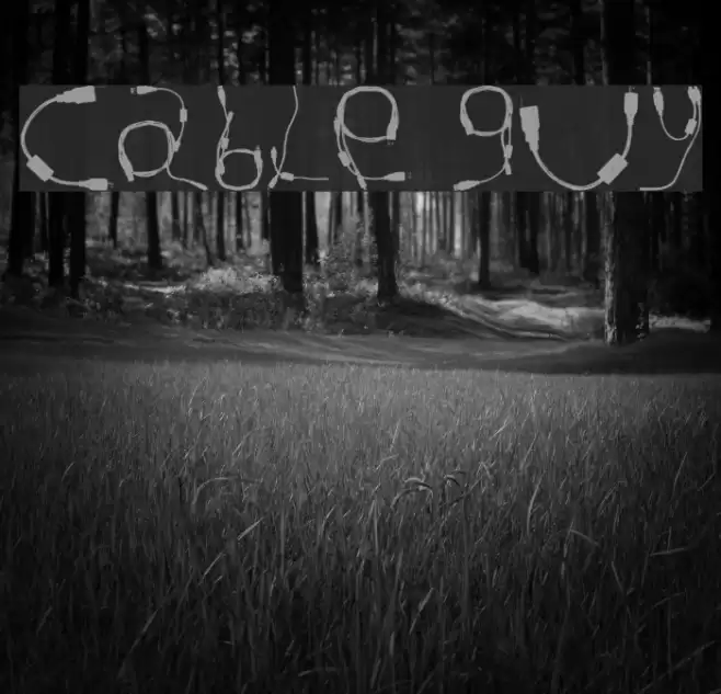 Cable Guy Fonte examples