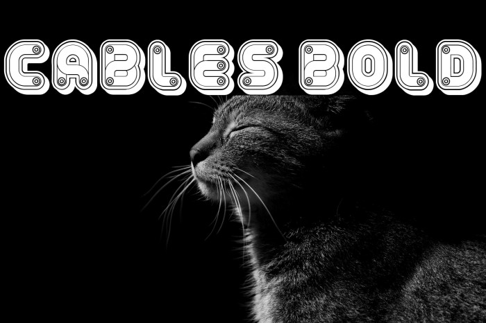 Cables Bold Example 1